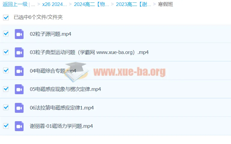 2024高中物理高二寒假班 谢丽荣精讲电磁感应与粒子运动