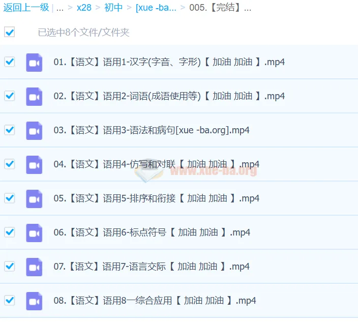 2024中考语文语言文字运用一本通(完结)系统课程
