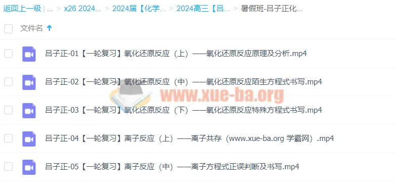2024高三化学一轮复习 吕子正化学暑假班 氧化还原与离子反应专题精讲