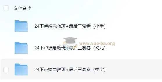 2024教资【卢姨押题】最后三套卷+急救班(小学/中学/幼儿全学段)