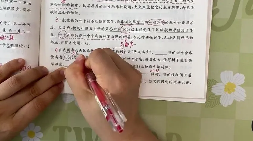 四年级阅读理解61篇精讲:写景·叙事·神话全掌握