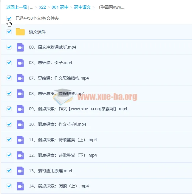 2022树成林平盖尔高考语文冲刺课47讲完整版