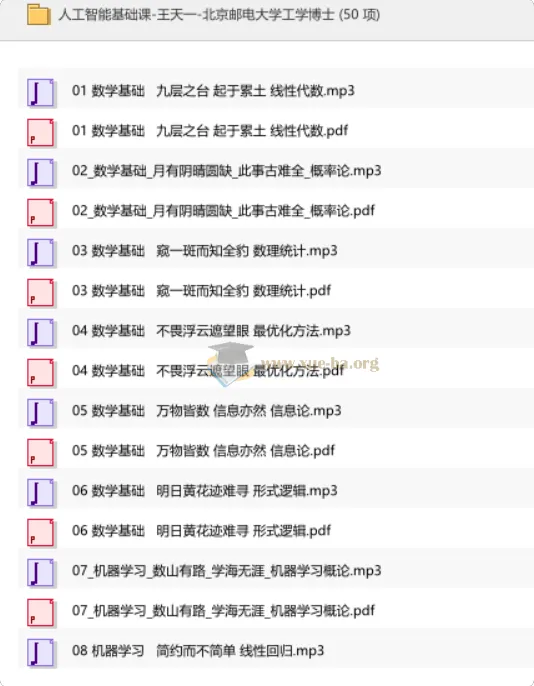 人工智能基础课-王天一：从数学到深度学习的系统入门指南