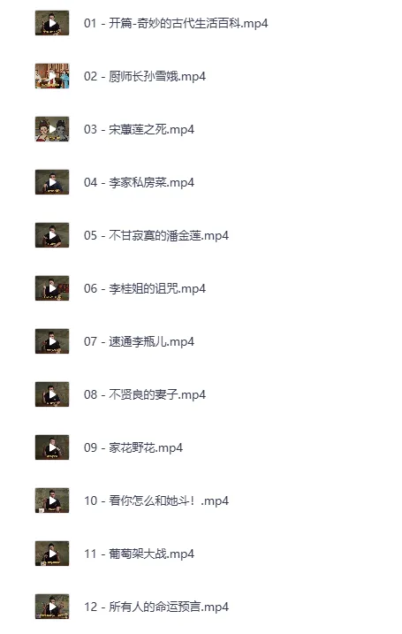 B站充电专属：吸奇侠《金瓶梅》系列深度解说合集