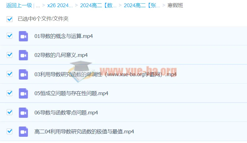 2024高二数学寒假班 张磊导数专题精讲