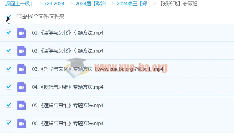 2024高三政治二轮复习 郑关飞寒假班 专题精讲