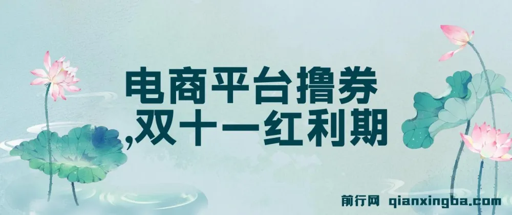 电商平台撸券实战教程,双十一红利期单号日入300+新玩法