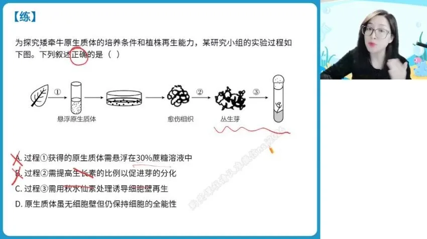 2024高二生物寒假特训班:周云A+基因工程与细胞工程专题突破
