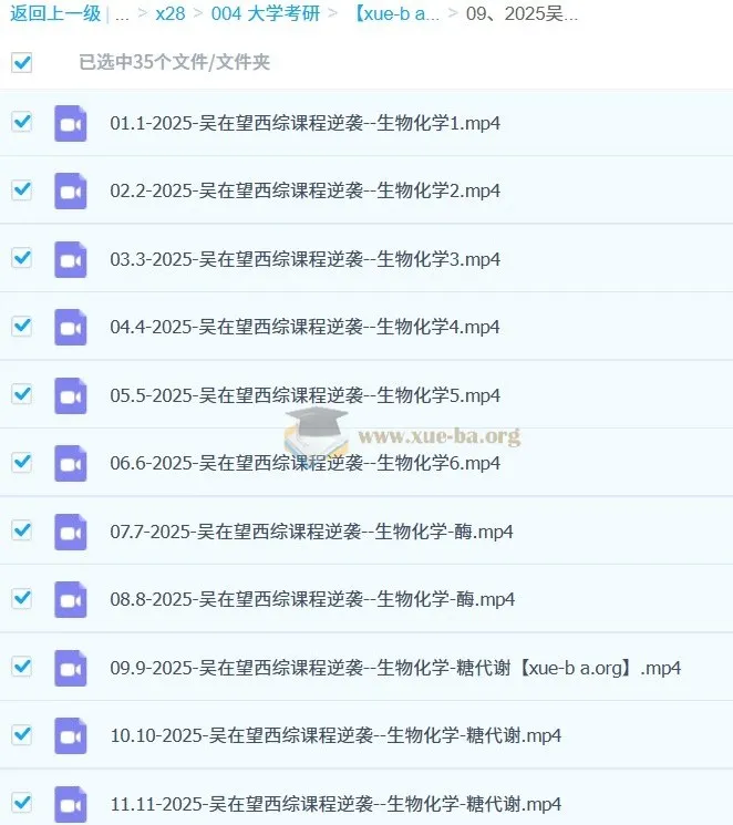 2025吴在望生化理解记忆提高班 西综生物化学系统精讲