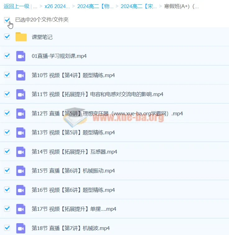2024高中物理高二物理宋雨晴A+寒假班精品课程