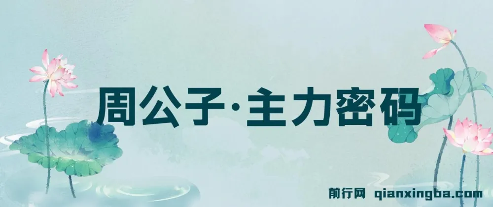 周公子·主力密码 2025年5-6月更新 股票实战课程