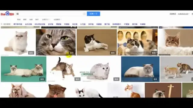 抖音运营实战教程:从零到百万粉丝的账号定位与视频制作全攻略