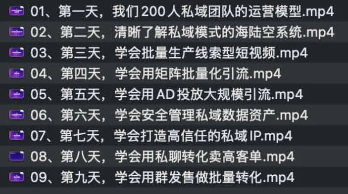 9天私域运营实战课：从引流到转化全流程拆解