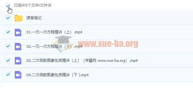 中考人教数学十一特训营(张明哲)2021秋 精讲课程