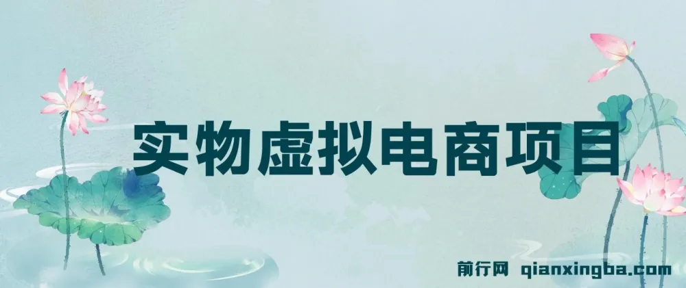 实物虚拟电商项目实操教程,低成本信息差变现,一单利润几十元