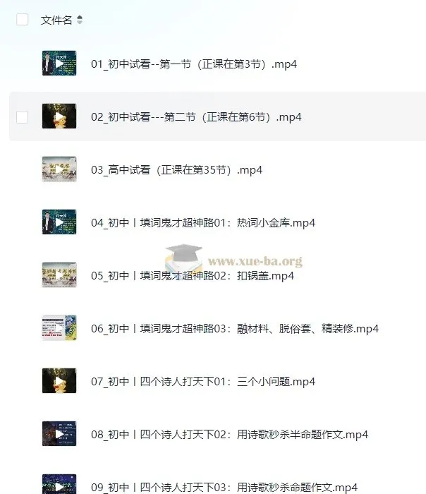 杨自豪爆破作文课程 初中高中语文作文48节完结