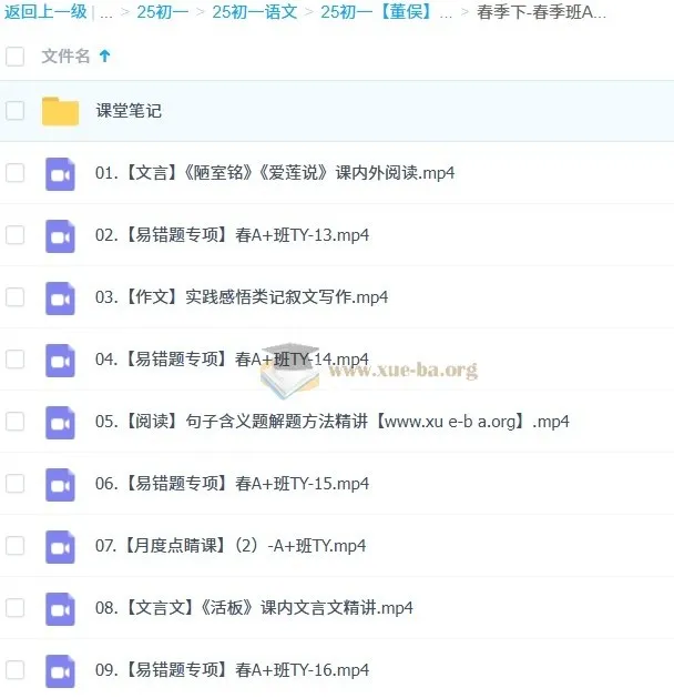 2024-2025初一语文董俣A+班 暑假班+秋季班+寒假班+春季班全套课程