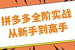 拼多多全阶实战：从新手到高手课程