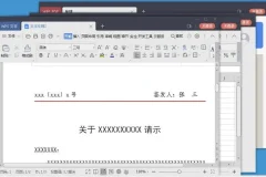 WPS专业增强版、精简版及教育版资源汇总
