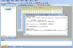 PilotEdit Lite 高级文本编辑器 18.8.0 中文绿色精简版