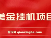 美金挂机项目：单窗口日赚12美元，官方免费插件助力小白轻松上手