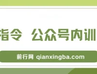 AI指令与公众号内训课：掌握底层逻辑（7节课）
