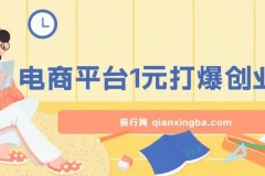 2024年12月电商平台1元引流创业粉课程：日引500+，月入过万