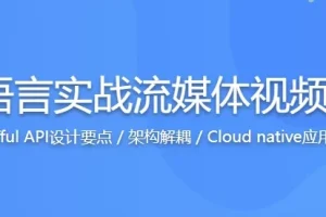 Go语言实战流媒体视频网站开发课程：源码课件全掌握