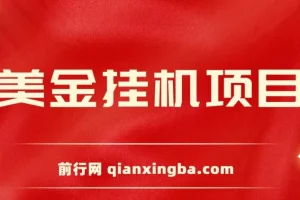 美金挂机项目：单窗口日赚12美元，官方免费插件助力小白轻松上手