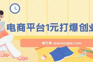 2024年12月电商平台1元引流创业粉课程：日引500+，月入过万