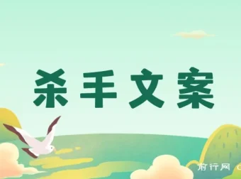 《杀手文案：掌握108封大师手抄赚钱信，开启疯狂变现之路》