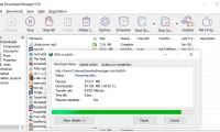 Internet Download Manager (IDM) v6.42.11 中文特别版