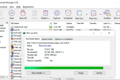 Internet Download Manager 6.42.11中文特别版：强大下载工具