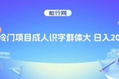 抖音快手成人识字冷门项目：日赚2000+秘籍