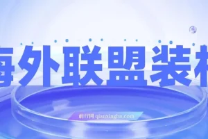 海外联盟装机项目：单窗口日收益可达15.8元，野路子玩法变现超2万
