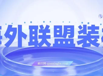 海外联盟装机项目：单窗口日收益可达15.8元，野路子玩法变现超2万