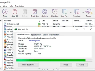 Internet Download Manager (IDM) v6.42.11 中文特别版