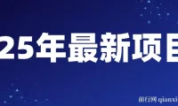 25年开年视频号掘金项目：日收益可达千元的兼职创业选择