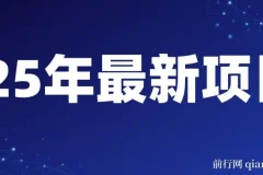 25年开年视频号掘金项目：日收益可达千元的兼职创业选择