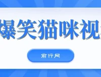 爆笑猫咪视频：视频号搞钱策略课程