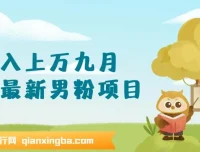 九月男粉变现项目：日引500+色粉，单日收款超千元