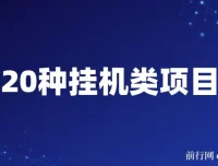 揭秘20种网创挂机项目玩法，小白轻松上手