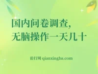 国内问卷调查实操课程：轻松日赚50+