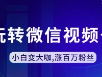 微信视频号运营课程：从入门到涨粉百万