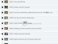 BBC儿童英文节目《Go Wild》：户外自然科普视听盛宴