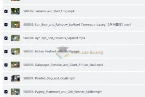 BBC儿童英文节目《Go Wild》：户外自然科普视听盛宴