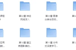高级深度学习算法工程师课程