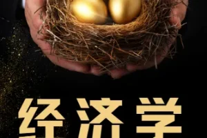 梁捷《一平方公里内的经济学》完结