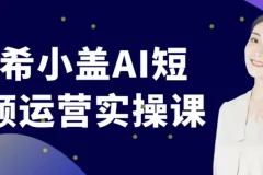 南希小盖 AI 短视频运营实操课程