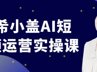 南希小盖 AI 短视频运营实操课程